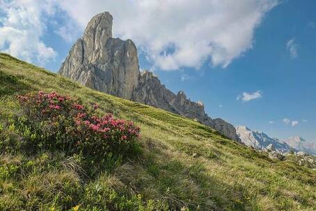 宝岛心潮 深情 合唱 民乐 宣传片 短