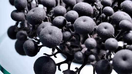 黑色球状物体微距特写素材