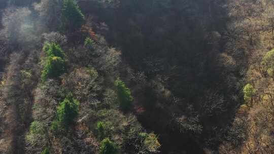 航拍秦岭山脉秋季风景云海