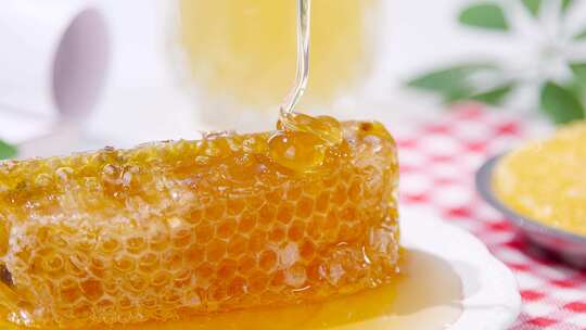 蜂巢蜜 蜂蜜 野生蜂巢蜜