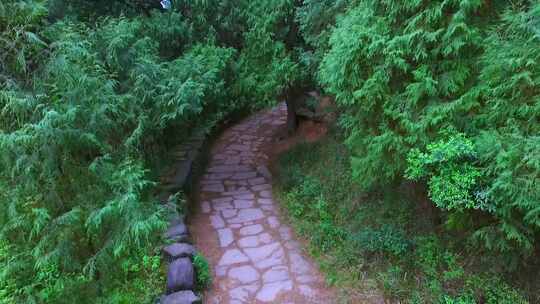 蜀道森林步道