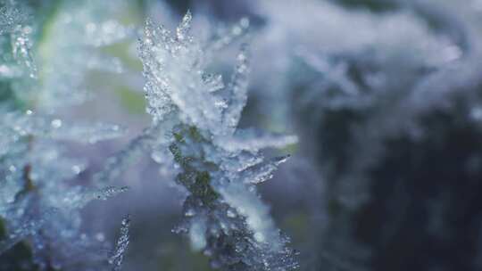 冰雪融化春天来了大地复苏