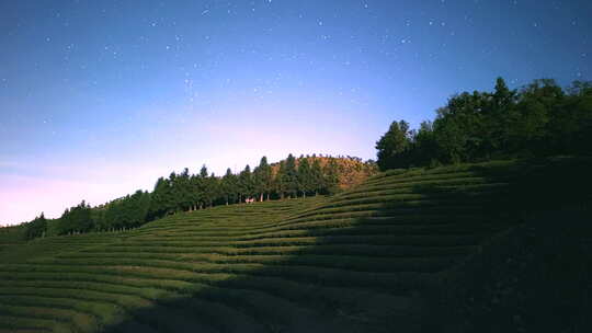 云南夜晚星空下的梯田风光