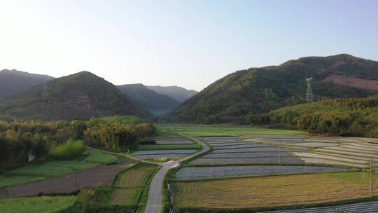 皖南乡村风光