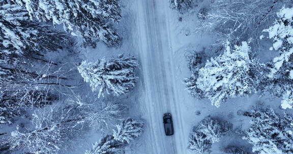 行驶在大雪林的汽车