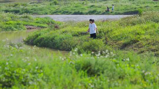 公园 钓鱼 慢生活 溪水 河流 幸福石板桥