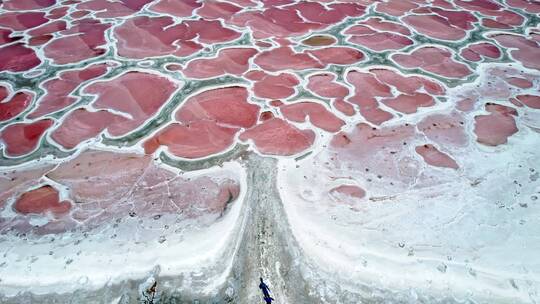 内蒙古阿拉善腾格里沙漠的粉红秘境骆驼湖视频素材模板下载