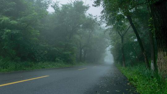 雨雾山林间公路