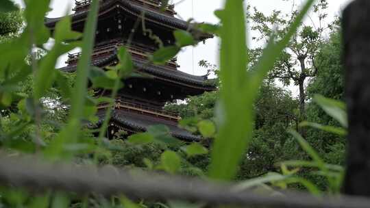 日本东京，日本神社，寺庙