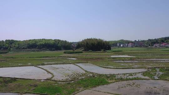 山区田野