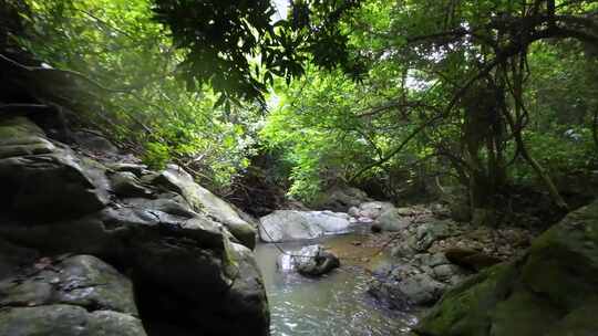 穿越机航拍深圳梧桐山麻水凤林间溪谷