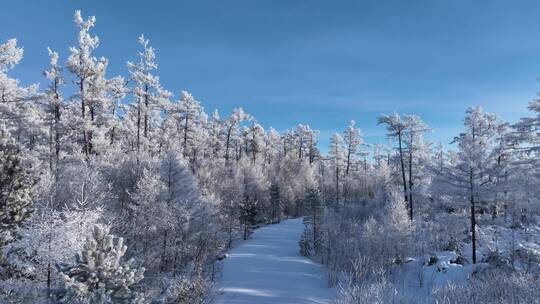 航拍林海雪原雪林小路