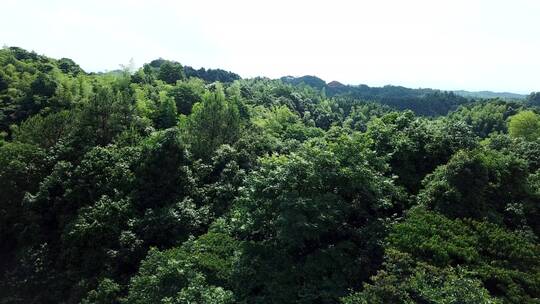 湖南衡阳花果山