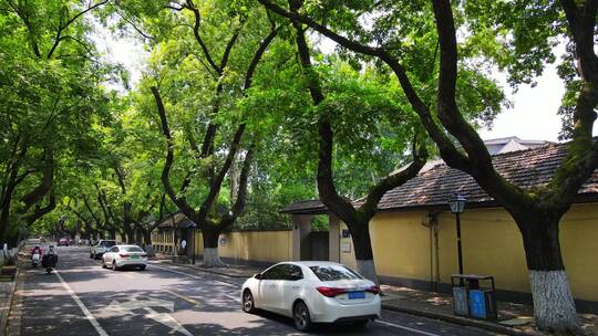 民国建筑、南京颐和路、梧桐树、绿荫