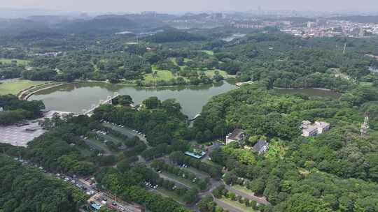 东莞植物园高清航拍