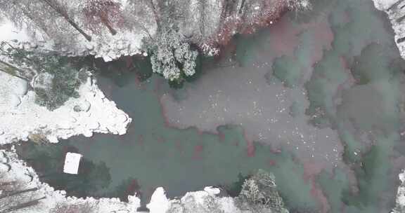 武汉东湖梅园雪景风光