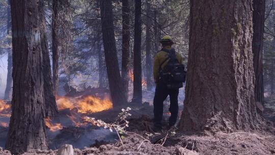 美国海军陆战队帮助扑灭森林大火