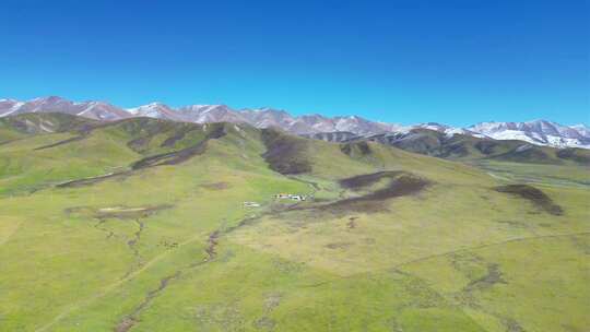 祁连山下草原牧场