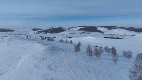 呼伦贝尔疏林雪原风光视频素材模板下载