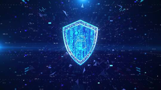大数据网络安全数据保护
