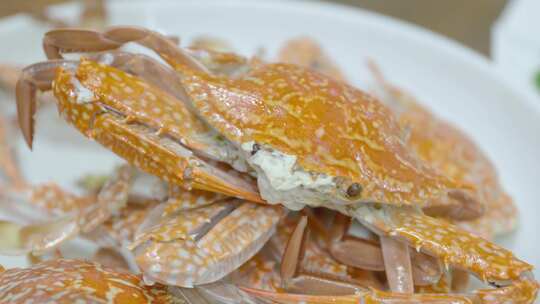 4K菜肴烤生蚝、海虾、蒸鱼、螃蟹