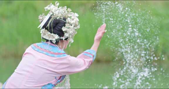 水族端节少数民族贵州云南四川三都端节借端