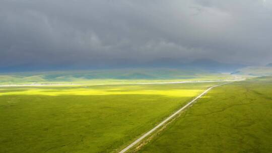新疆独库公路草原上的风景