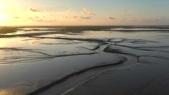 黄海湿地滩涂 条子泥湿地