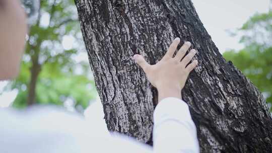 女人手触摸大树，亲近自然