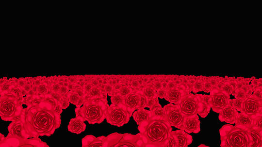 玫瑰花粒子海冲屏幕视频