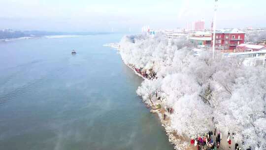 中国吉林市小雾凇岛航拍视频