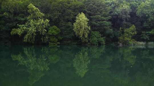 树木河流航行平静河岸俯瞰 水面。