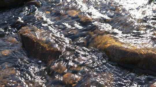 夏天清澈的溪流