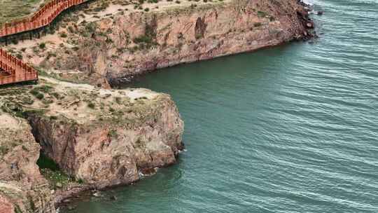 航拍青海青海湖草原高原动物视频素材模板下载