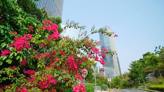 广西南宁五象新区东盟总部基地街景