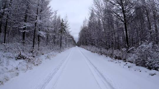 行驶在林海雪原雪路上