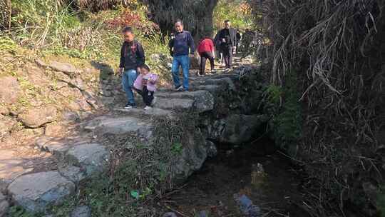 南山秋色：亲子徒步山间石径小路