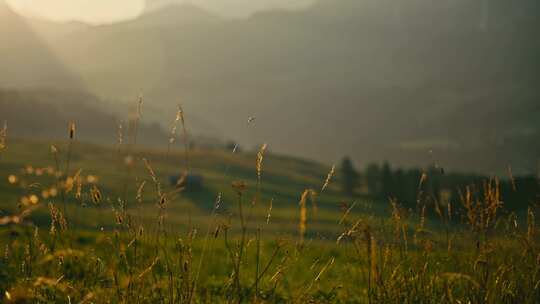 Alpe Di Siusi，白云石，山，