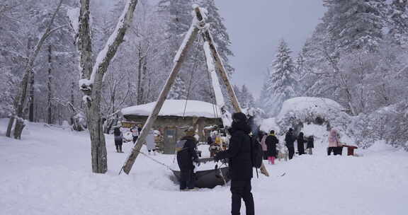 雪后松树挺立的冬日自然景象