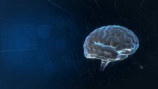 大脑器官3d人体器官视频素材模板下载