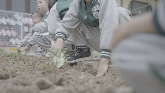 幼儿园校园生活儿童学校欢快4K素材