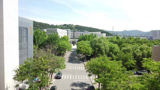 航拍初夏校园风景