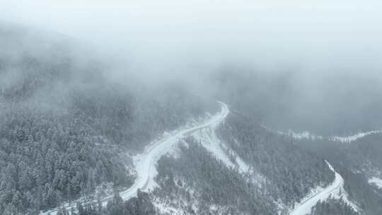 航拍下雪的森林公路