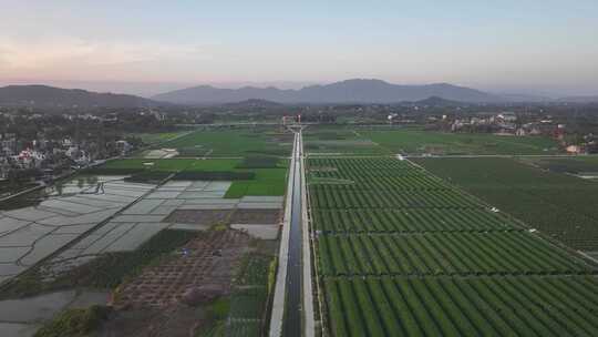 海南农田航拍