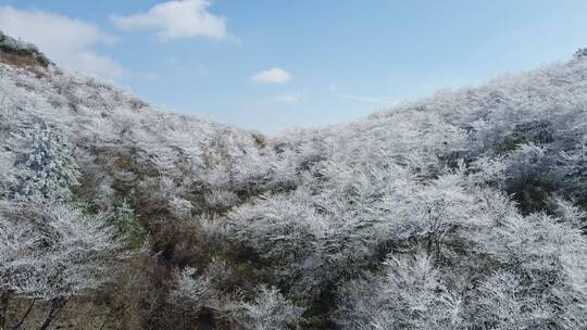 临安浙西天池江南雾凇雪景航拍