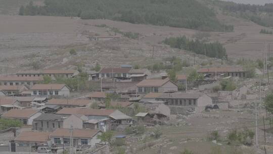 东北山区黑土地与春季的野草野花