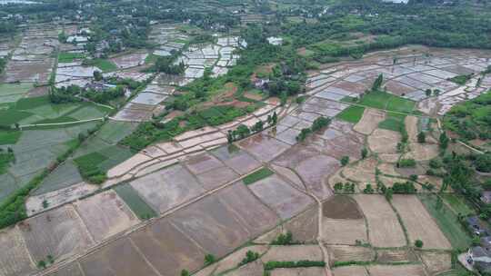 四川平原、德阳罗江区金山镇耕种土地