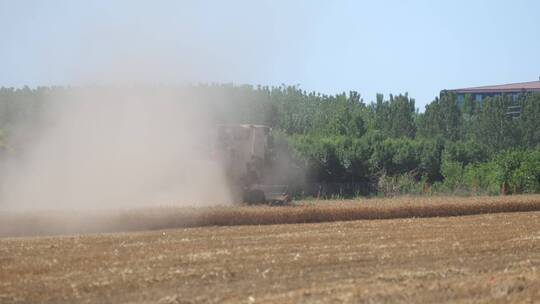 农村农业小麦收割