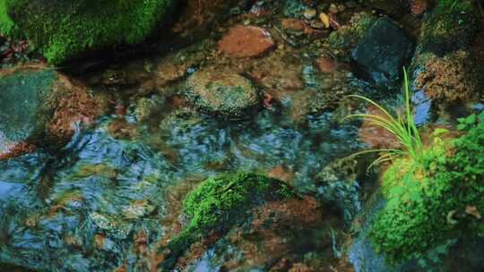 森林大自然山沟小溪泉水青苔绿石苔藓自愈