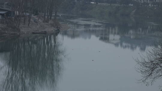河边树的倒影空镜头